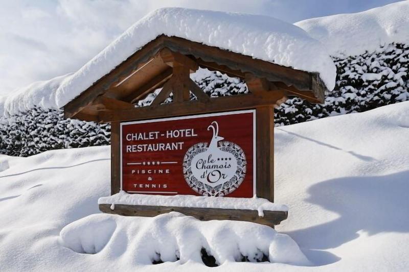 The Chamois d'Or - Aktivite