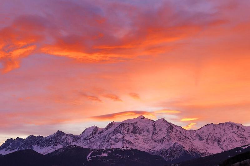 The Chamois d'Or - Genel