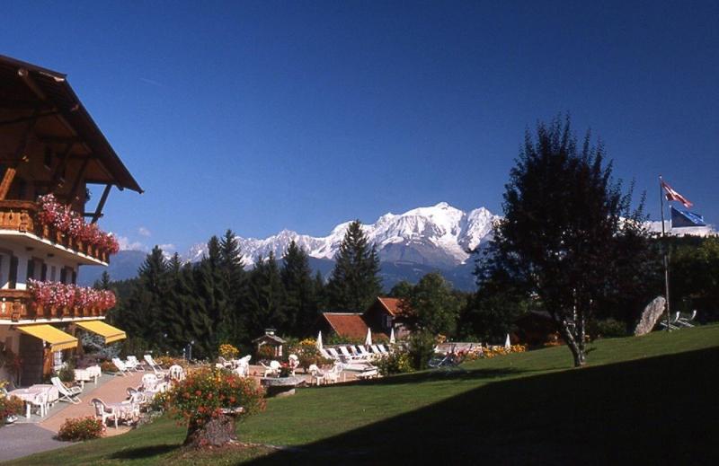 The Chamois d'Or - Genel