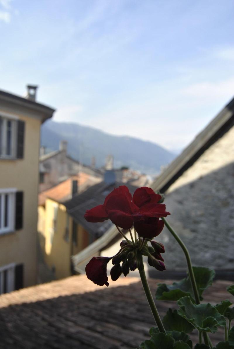 Hotel Pironi - Oda