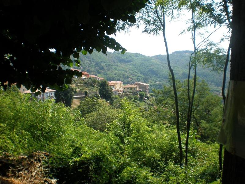 Albergo Ristorante Amelia - Genel