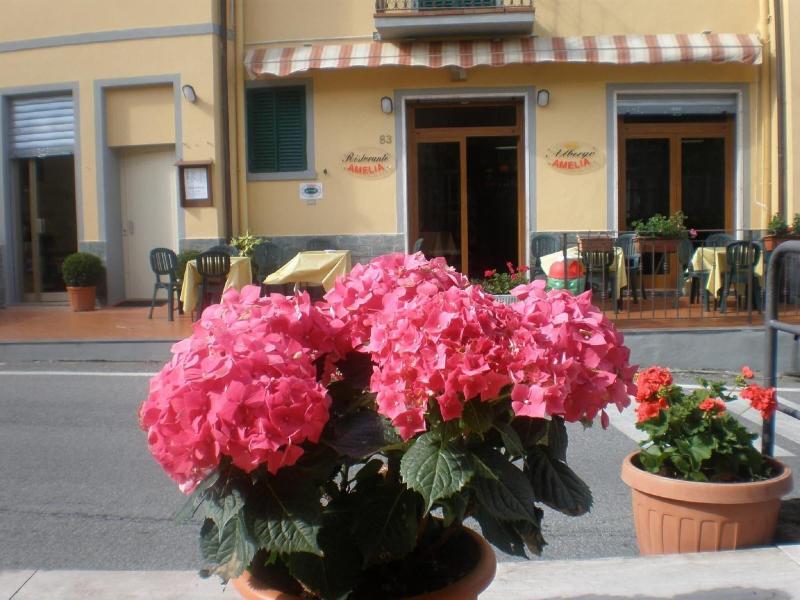 Albergo Ristorante Amelia - Genel