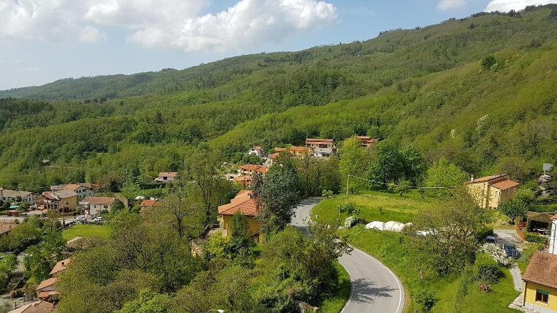 Amelia Dream View - Genel