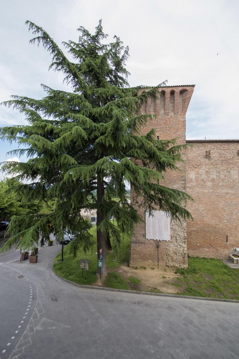 B&B La Vecchia Tenenza - Genel