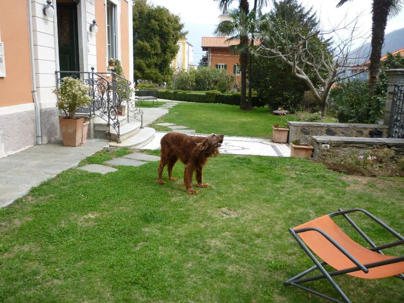 Locanda Dei Pini - Genel