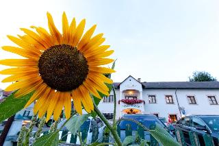 Gasthof Gruber fotoÄŸrafÄ±