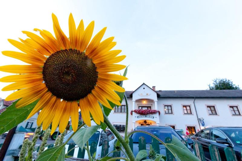 Gasthof Gruber - Genel