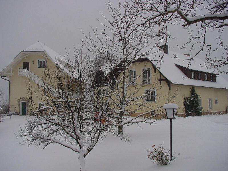Landhaus Strussnighof - Genel