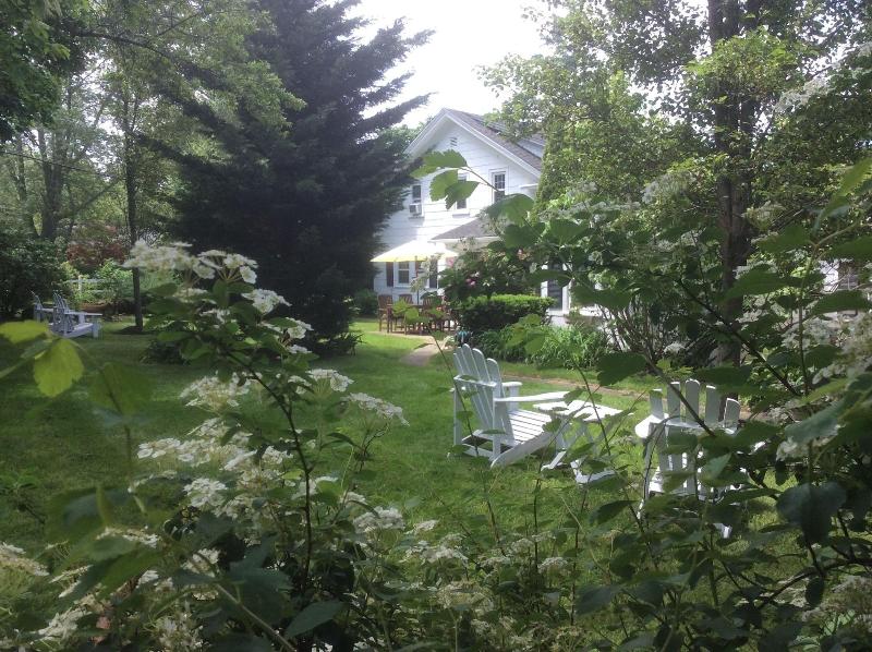 White Blossom House Inn - Genel