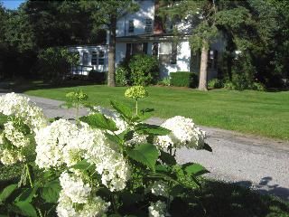 White Blossom House Inn fotoÄŸrafÄ±