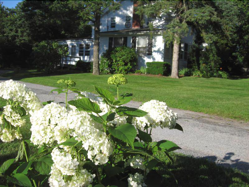 White Blossom House Inn - Genel