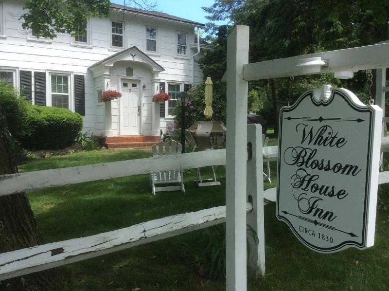 White Blossom House Inn - Genel