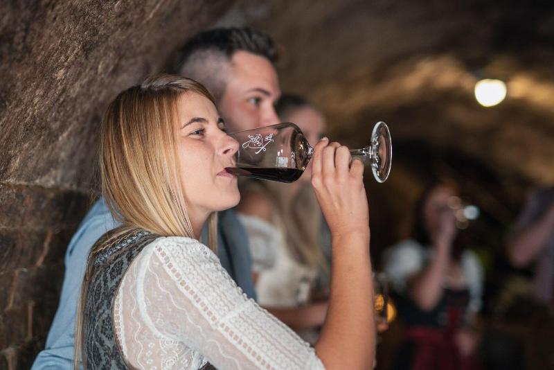 Winzerhof Küssler, Weinviertel - Aktivite