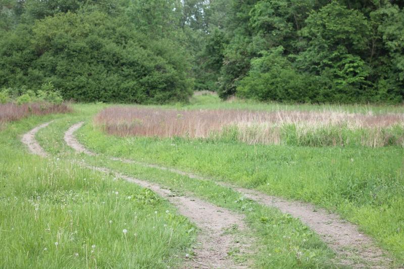 Winzerhof Küssler, Weinviertel - Aktivite