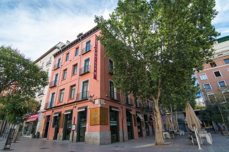 Petit Palace Plaza del Carmen - Genel