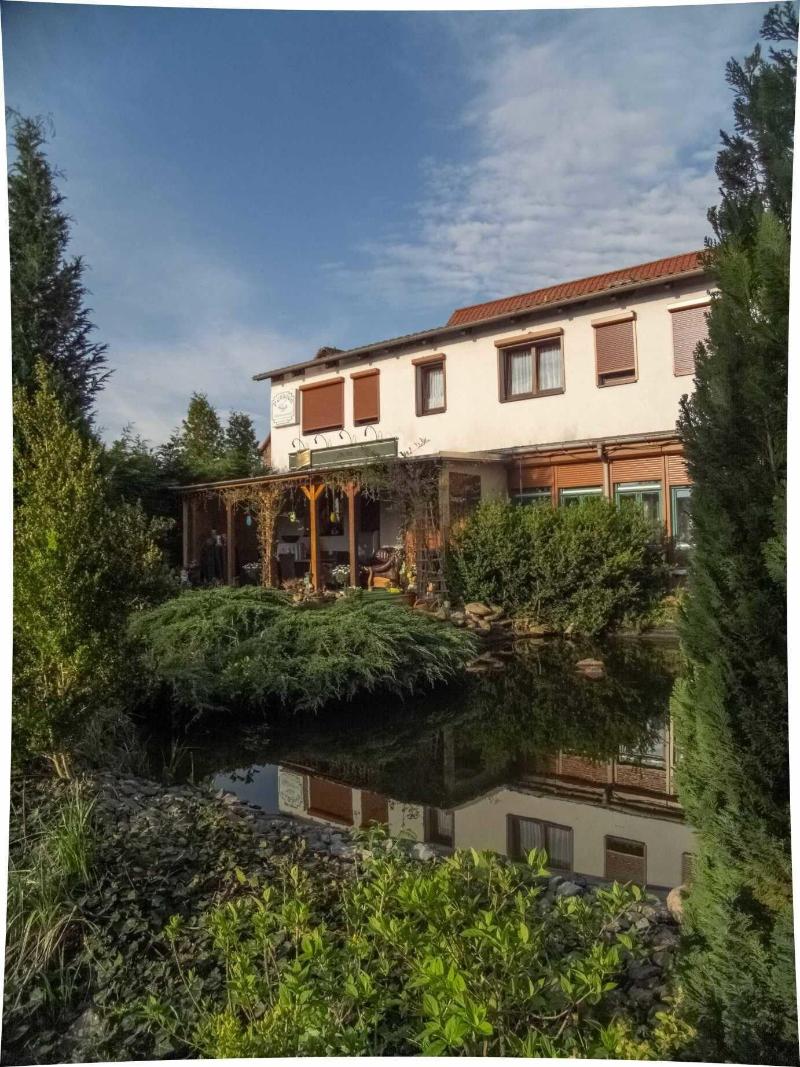 Pension Zum Schwanenteich - Oda