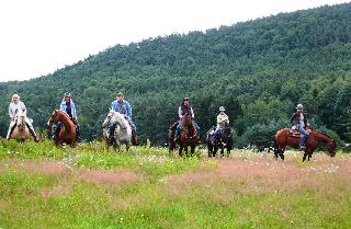 Landgasthof Zum Ochsen fotoÄŸrafÄ±