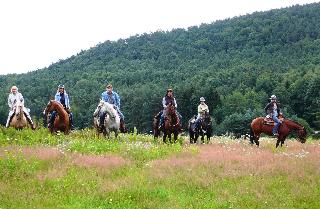 Landgasthof Zum Ochsen fotoÄŸrafÄ±