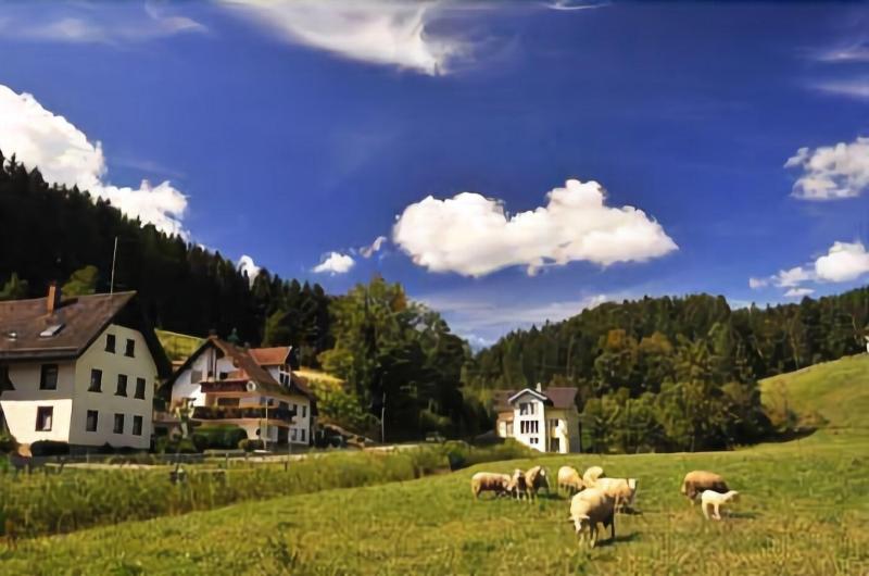 Hirschen-Dorfmühle - Aktivite