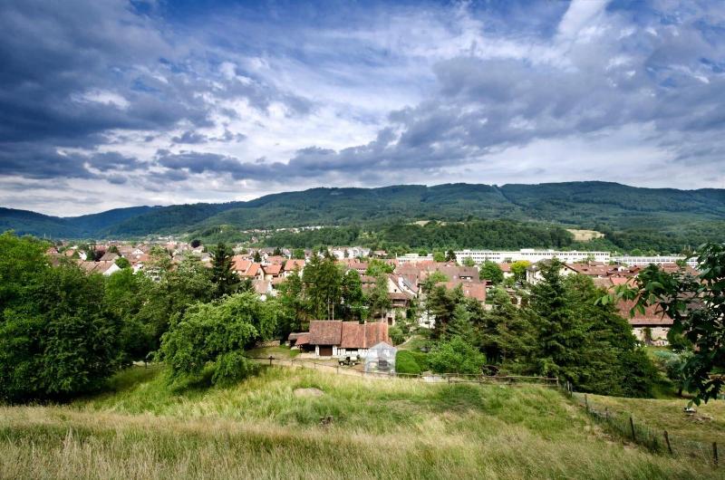 Hotel Landgasthof Zur Sonne - Genel