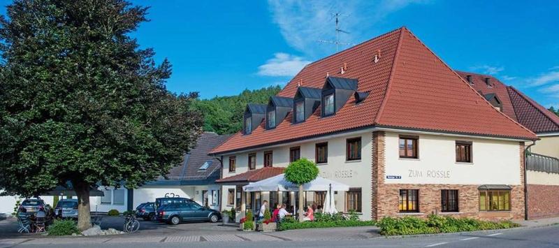 Hotel Gasthof Zum Rössle - Teras