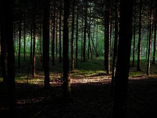 Alla Casetta fotoÄŸrafÄ±