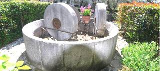 Hotel Ristorante L'Ulivo fotoÄŸrafÄ±