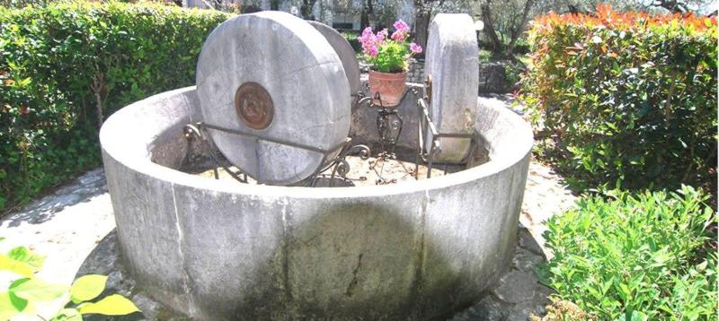 Hotel Ristorante L'Ulivo - Genel