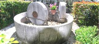 Hotel Ristorante L'Ulivo fotoÄŸrafÄ±