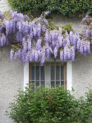 B&B L'Isola fotoÄŸrafÄ±
