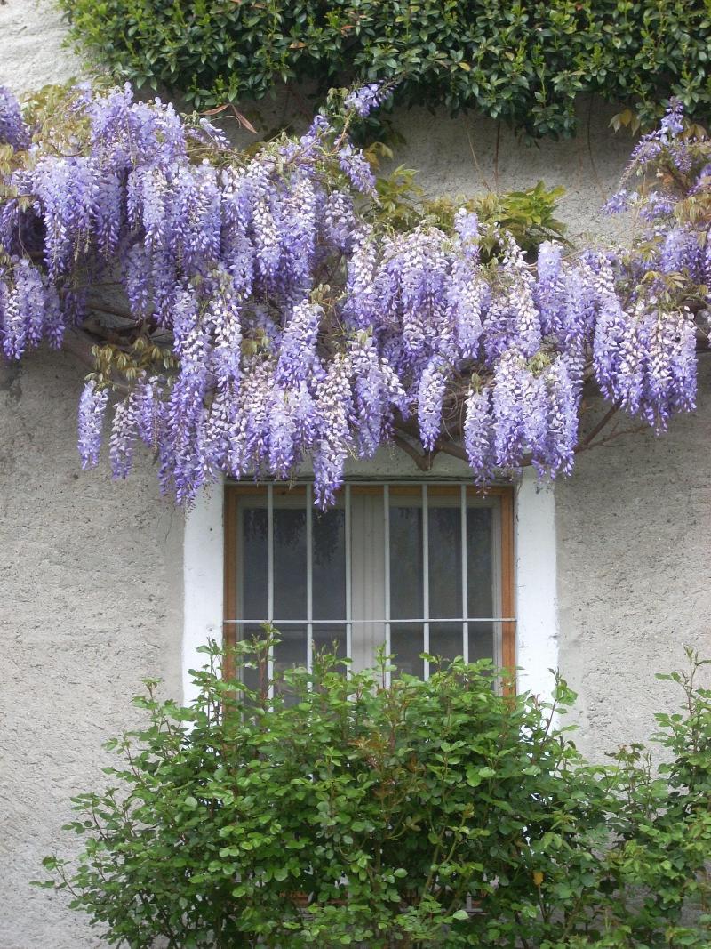 B&B L'Isola - Genel