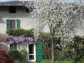 B&B L'Isola fotoÄŸrafÄ±