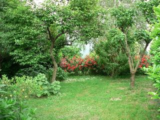 B&B L'Isola fotoÄŸrafÄ±