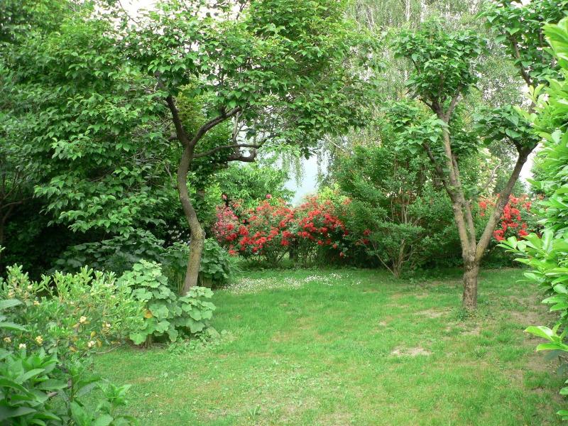 B&B L'Isola - Genel