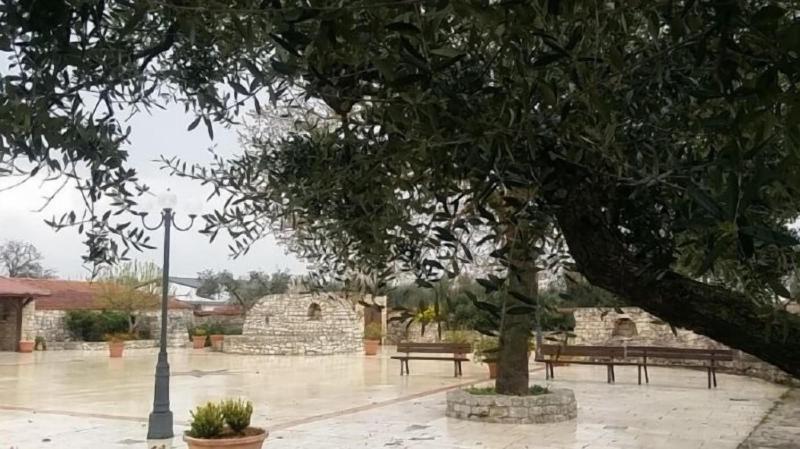 Agriturismo Regno Di Marzagaglia - Genel