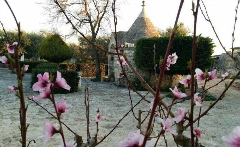 Agriturismo Regno Di Marzagaglia - Genel