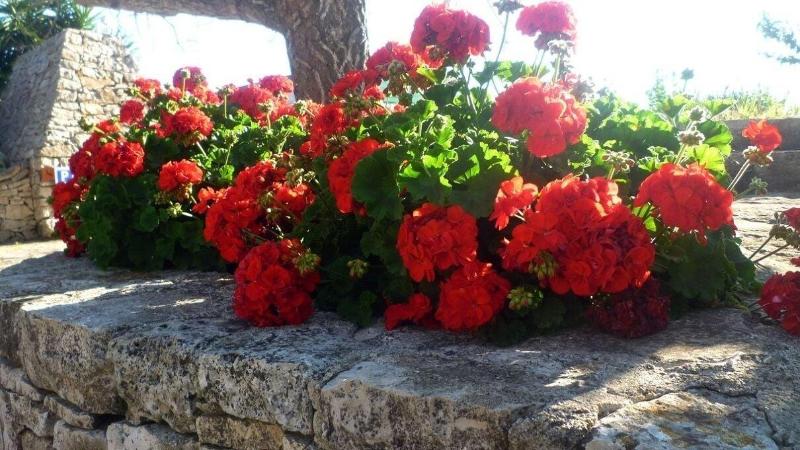 Agriturismo Regno Di Marzagaglia - Genel