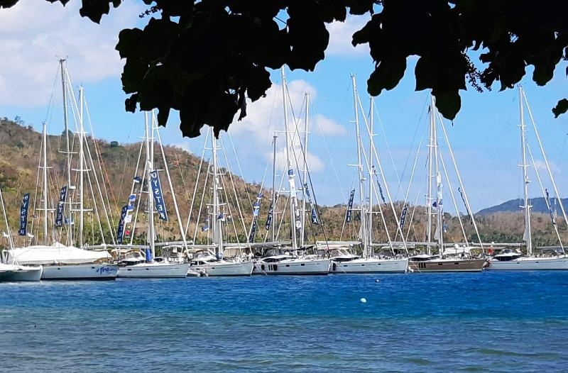 Marina Del Ray - Plaj