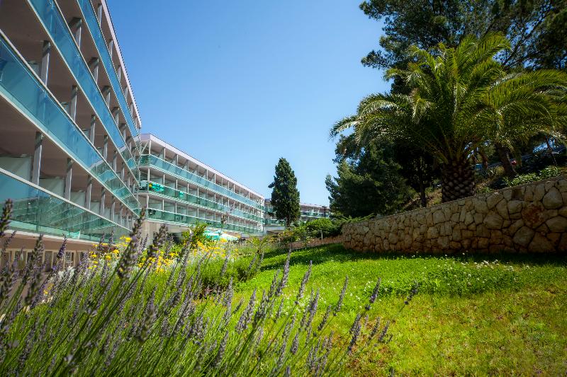 Hotel Aurora - Genel