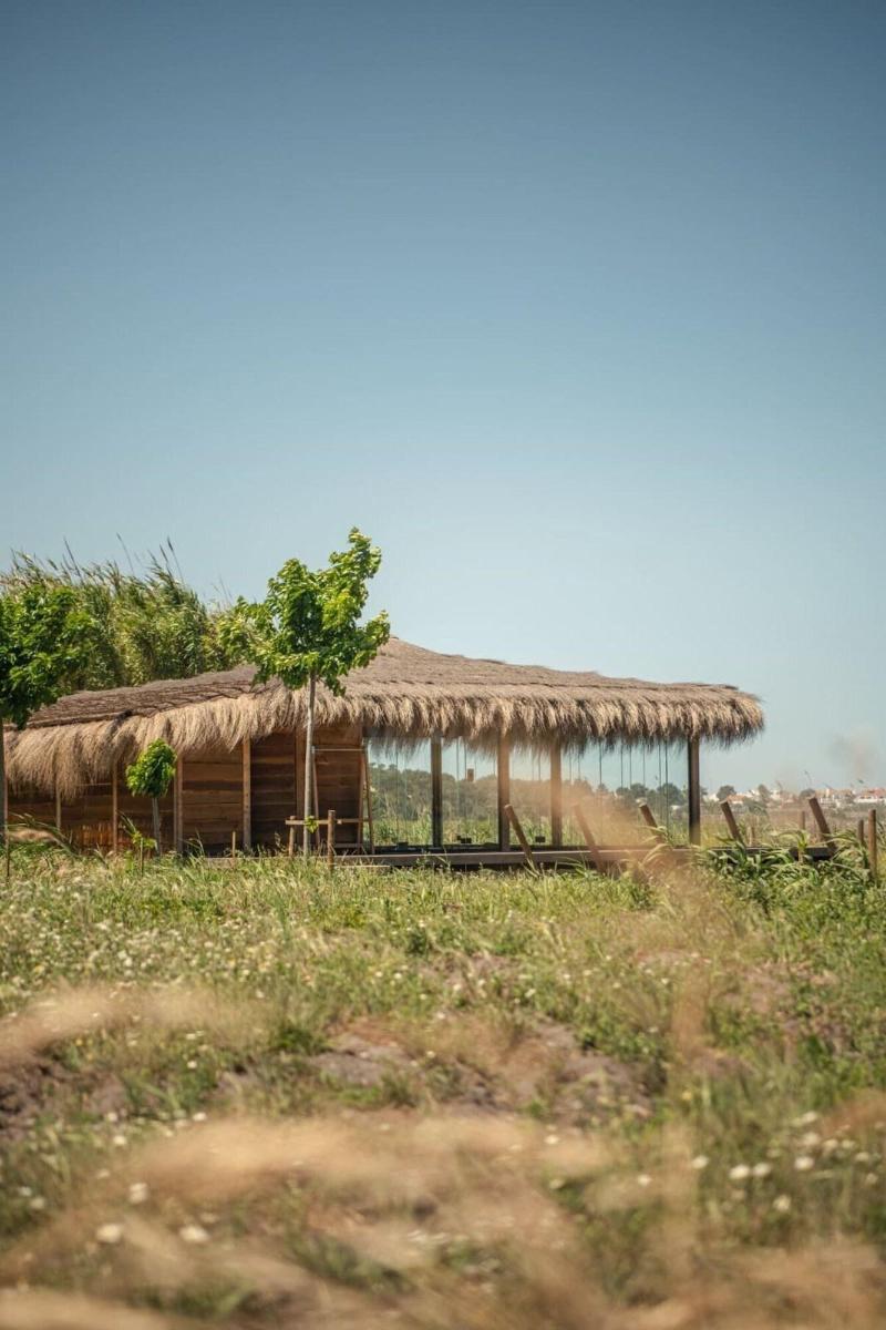 Quinta Da Comporta Wellness Boutique Resort - Aktivite