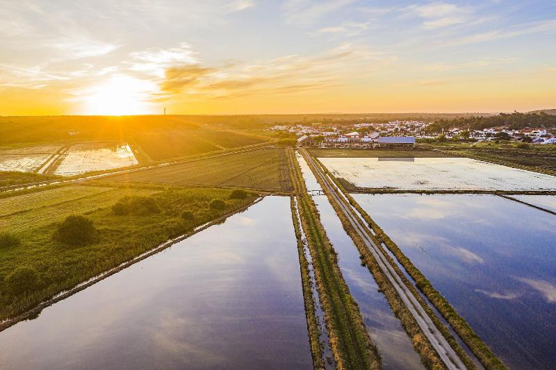 Quinta Da Comporta Wellness Boutique Resort - Genel
