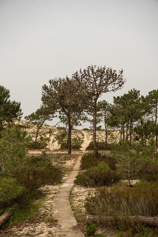 Quinta Da Comporta Wellness Boutique Resort fotoÄŸrafÄ±