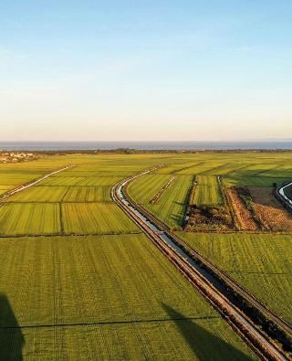 Quinta Da Comporta Wellness Boutique Resort fotoÄŸrafÄ±