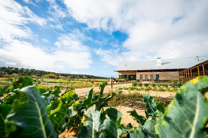 Quinta Da Comporta Wellness Boutique Resort - Genel