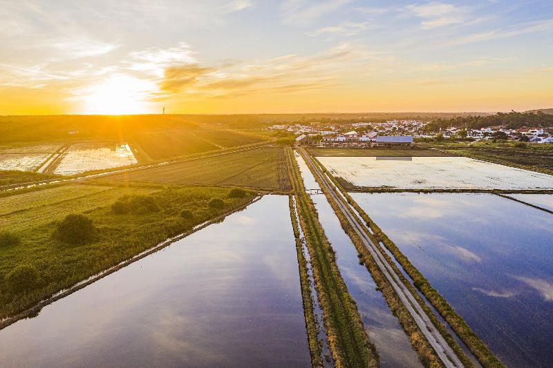 Quinta Da Comporta Wellness Boutique Resort - Genel