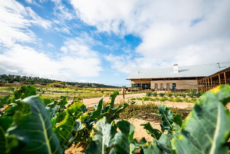 Quinta Da Comporta Wellness Boutique Resort - Genel