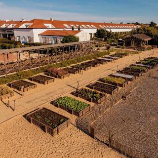 Quinta Da Comporta Wellness Boutique Resort fotoÄŸrafÄ±