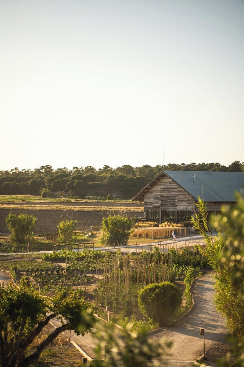 Quinta Da Comporta Wellness Boutique Resort - Teras