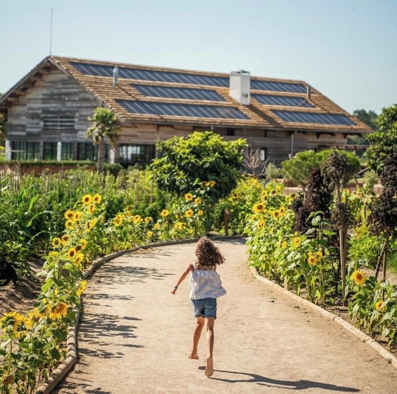 Quinta Da Comporta Wellness Boutique Resort - Teras