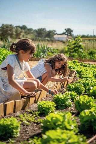Quinta Da Comporta Wellness Boutique Resort fotoÄŸrafÄ±